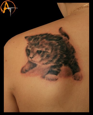 Фото, значение в магии татуировки " Кот. Кошка. Котенок. " X_f53c9341